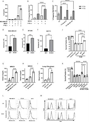 Radiation induces ESCRT pathway dependent CD44v3+ extracellular vesicle production stimulating pro-tumor fibroblast activity in breast cancer